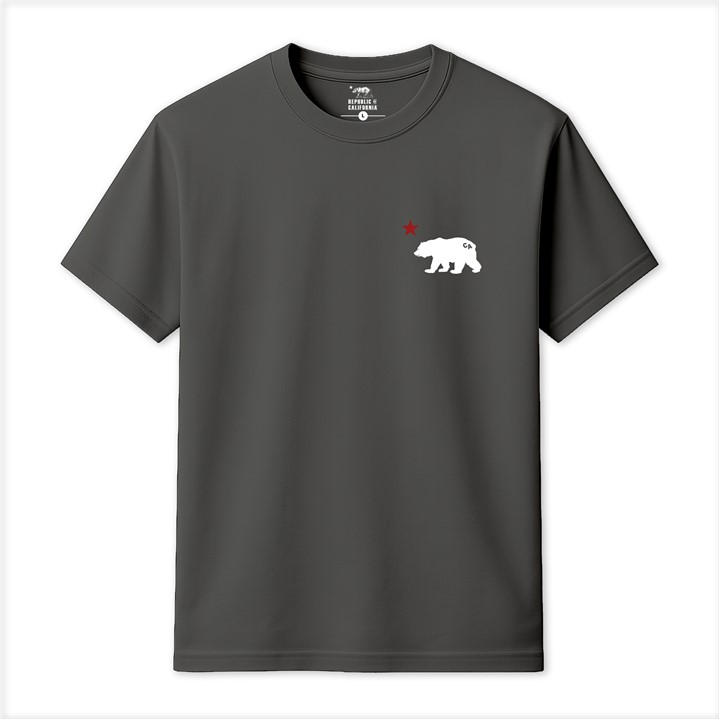 Republic Of California Men' Grey Cali Bear T-Shirt in Size S, Sports Direct