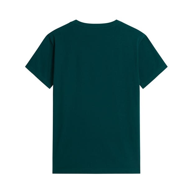 Pacific Teal - The North Face - Regular Fit Simple Dome T-Shirt Mens