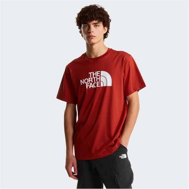 Iron Clay - The North Face - Regular Fit Short Sleeve T-Shirt Mens