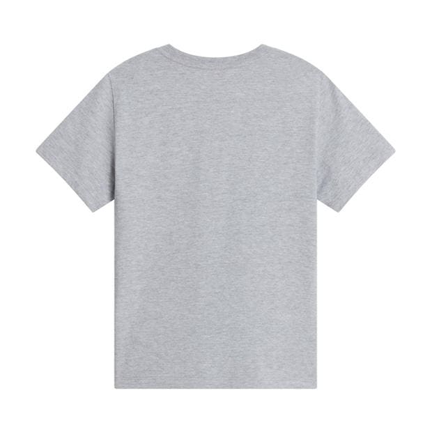 Grey Hthr CQO - The North Face - Simple Dome Regular Fit T-Shirt Juniors