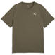 Loden Green