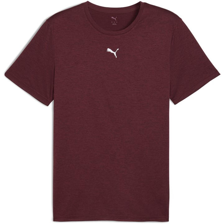 Puma Men's Red Tad Short Sleeve Performance Gym Top in Size L, Sports Direct