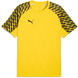 Yellow/Black