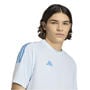 Crystal Sky - adidas - Climacool Sereno 3-Stripes Mens Shirt