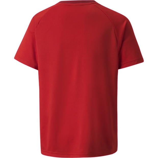 Rd-ChlPppr-Wht - Puma - Puma Teamvision Jersey Jr T-Shirt Unisex Kids