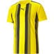 Yellow/Black