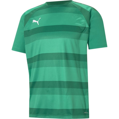 Puma - Puma Teamvision Jersey T-Shirt Mens