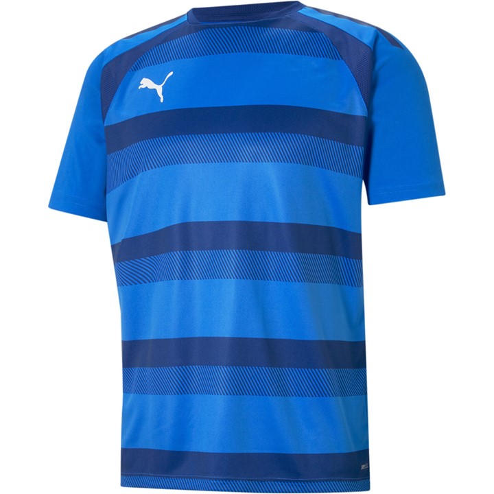 Puma Men's Blue Teamvision Jersey T-Shirt in Size XL, Sports Direct
