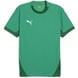 Sport Green