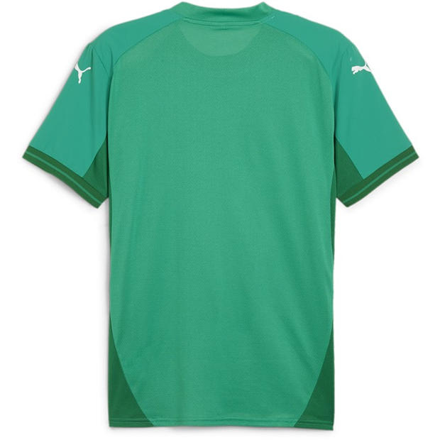 Sport Green - Puma - Puma Teamfinal Jersey T-Shirt Mens