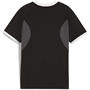Black/White - Puma - IndividualLIGA Juniors Jersey