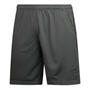 Grey - Hundred - Shorts Mens