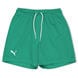 Pepper Green