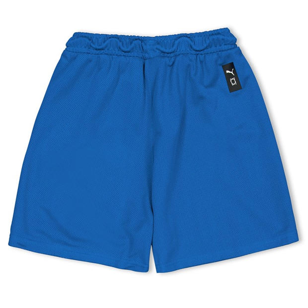 EBluLem - Puma - Kids' Hoops Team Junior Practice Basketball Shorts
