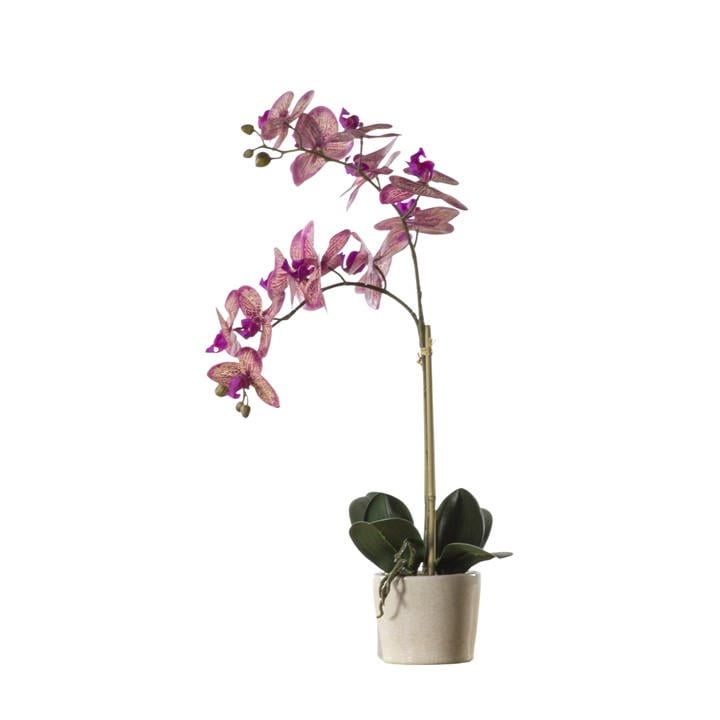 Gallery  Pink Ceramic Pot 99, Sports Direct