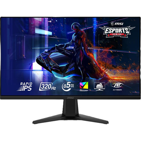 MSI - MAG 275QF X32 27 inch WQHD 320Hz Gaming Monitor
