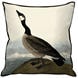Barnacle Goose