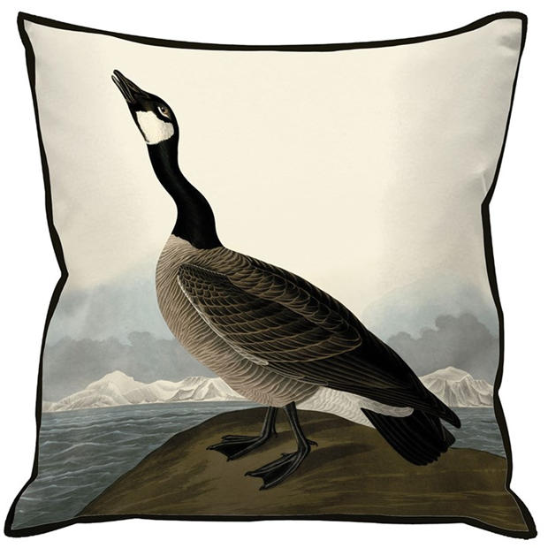 Barnacle Goose - The Art Group - The Art John James Aud 63