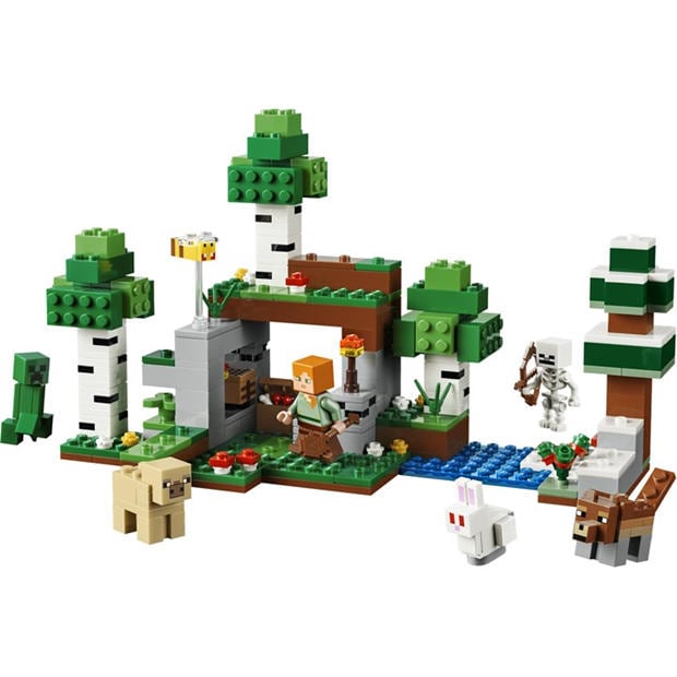First Night - LEGO - LEGO Minecraft 21593 Jn64