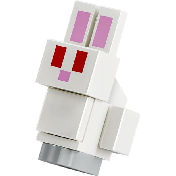 First Night - LEGO - LEGO Minecraft 21593 Jn64
