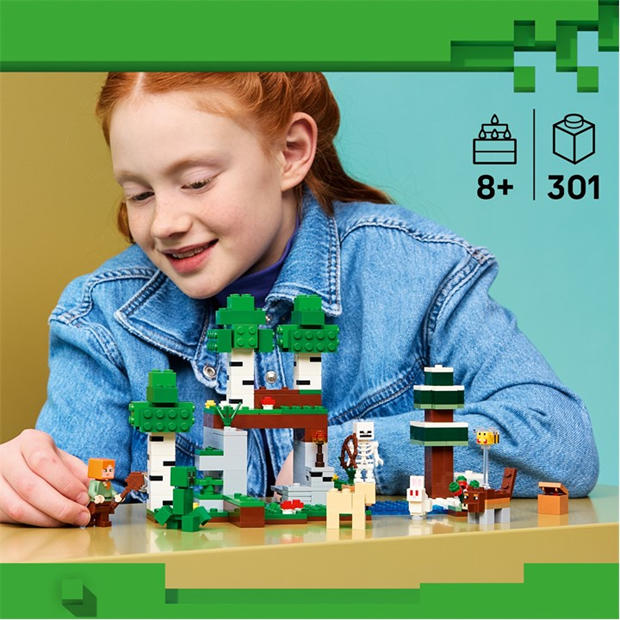 First Night - LEGO - LEGO Minecraft 21593 Jn64