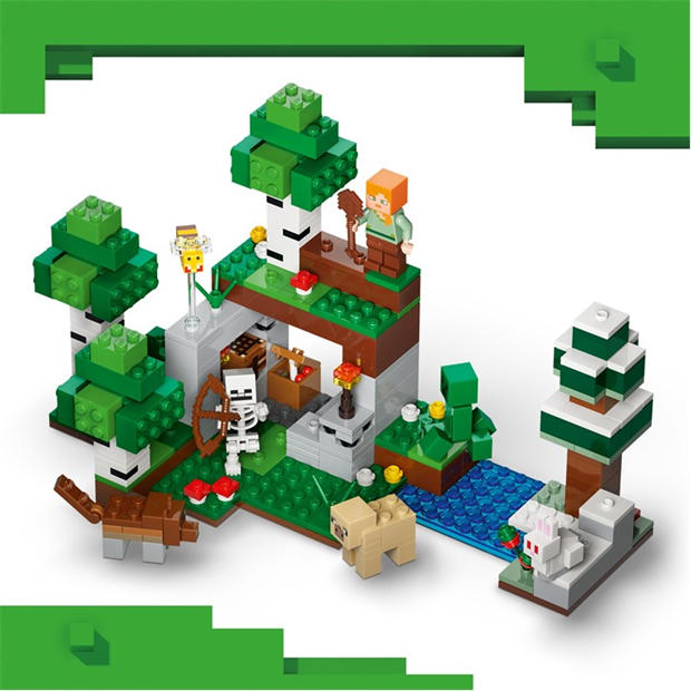 First Night - LEGO - LEGO Minecraft 21593 Jn64
