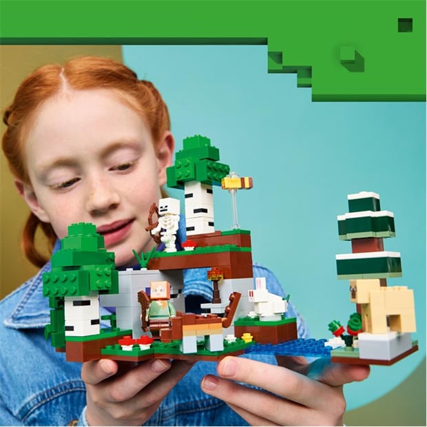 First Night - LEGO - LEGO Minecraft 21593 Jn64