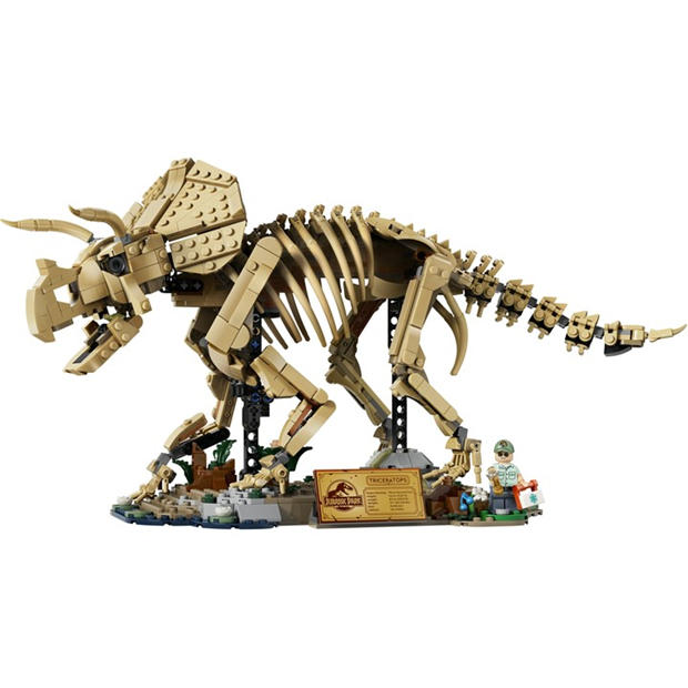 TBC - LEGO - Jurassic World Dinosaur Fossils: Triceratops Set 77985