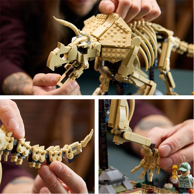TBC - LEGO - Jurassic World Dinosaur Fossils: Triceratops Set 77985