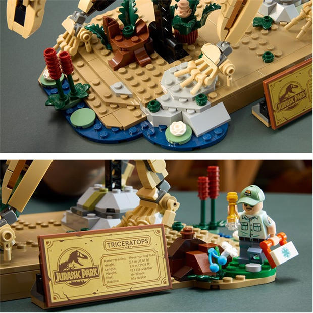 TBC - LEGO - Jurassic World Dinosaur Fossils: Triceratops Set 77985
