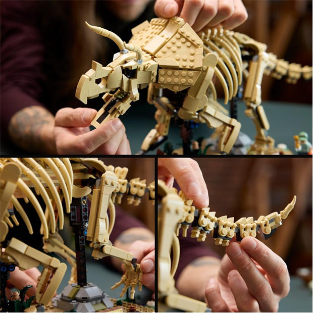 TBC - LEGO - Jurassic World Dinosaur Fossils: Triceratops Set 77985
