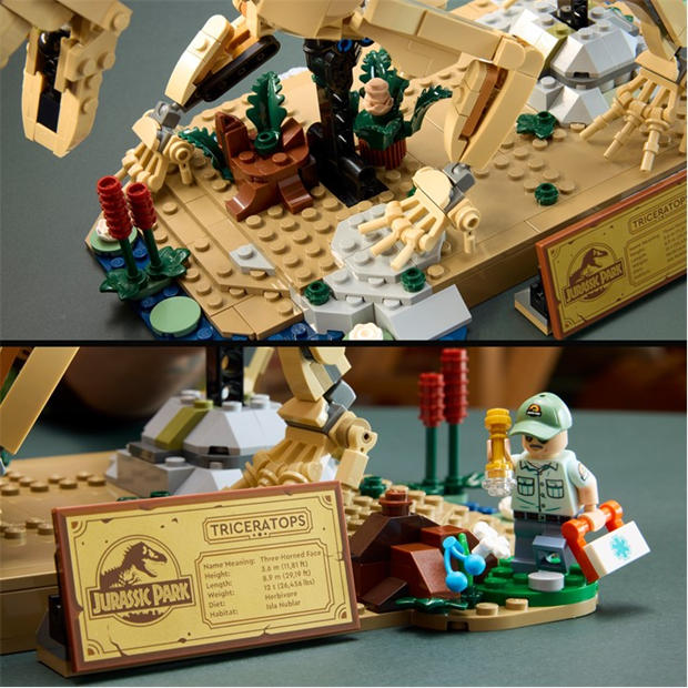 TBC - LEGO - Jurassic World Dinosaur Fossils: Triceratops Set 77985
