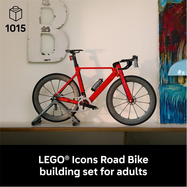 TBC - LEGO - LEGO ICONS 11380 Jn63