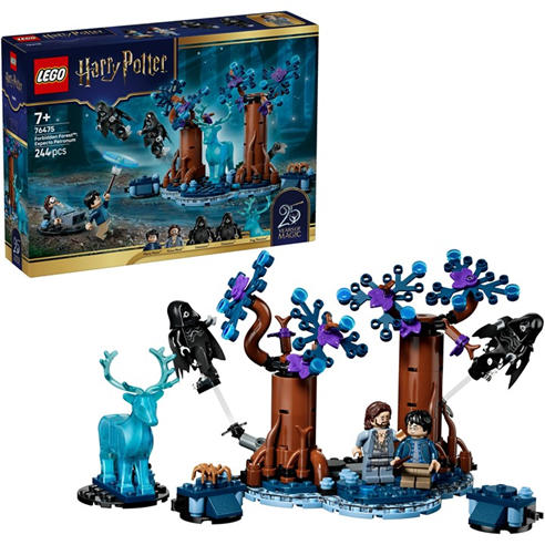 LEGO - Harry Potter Building Blocks
