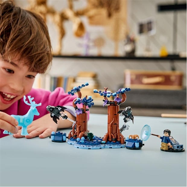 Expecto Patrnum - LEGO - LEGO Harry Potter 76 Jn64