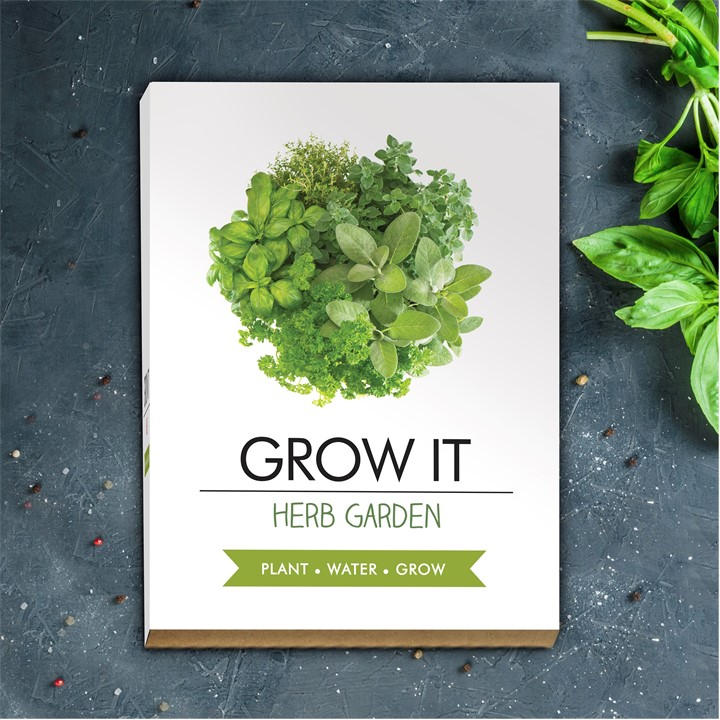Grow It  Green Herb Garden, Sports Direct