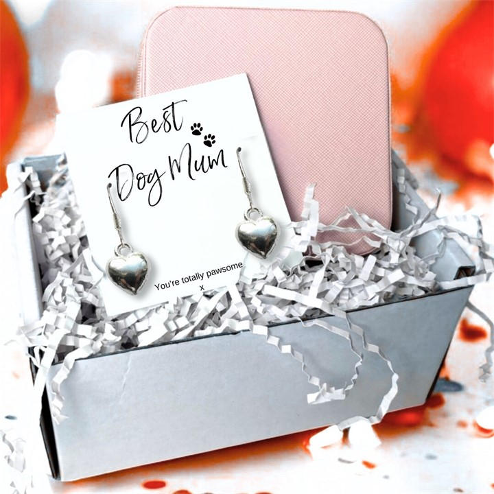 Aye Do Gifts Women's Silver Best Dog Mum Earrings & Jewellery Box Gift, Sports Direct