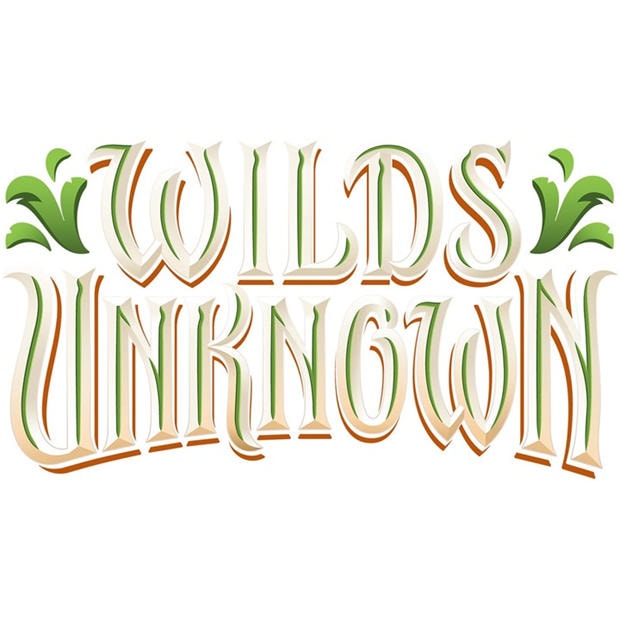 2-Player Deck - Disney - Lorcana Wilds Unknown 2-Player Deck