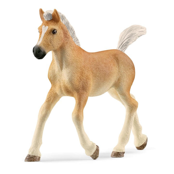 Schleich  Kids  Horse Club Haflinger Foal, Sports Direct
