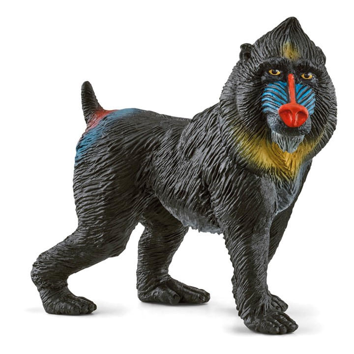 Forest   Kids  Wild Life Mandrill Toy Fi, Football by Schleich, Sports Direct