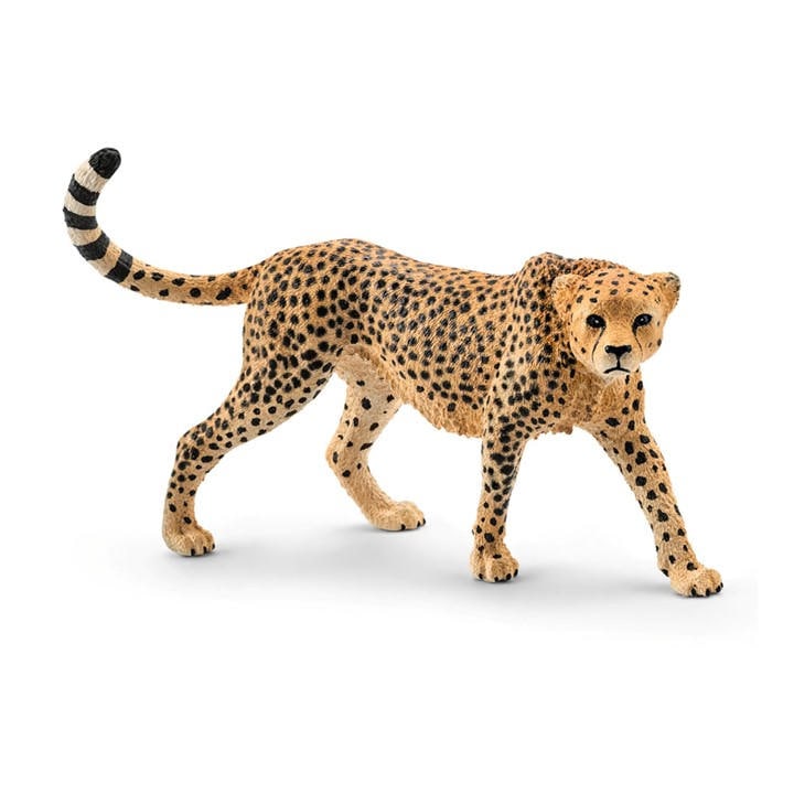 Schleich  Kids  Wild Life Female Cheetah, Sports Direct