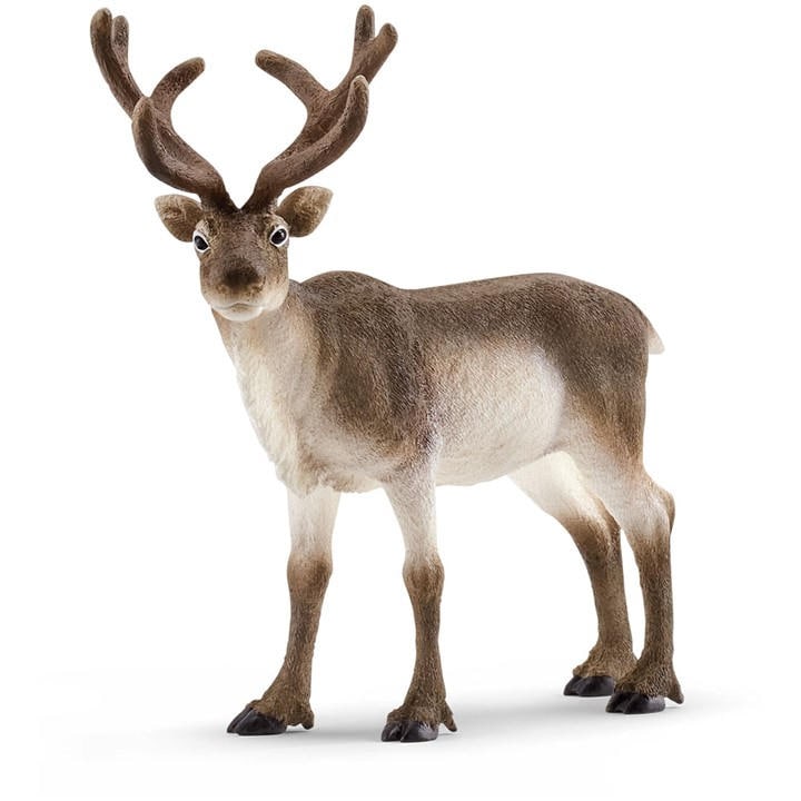 Forest   Kids  Wild Life Reindeer Toy Fi, Football by Schleich, Sports Direct