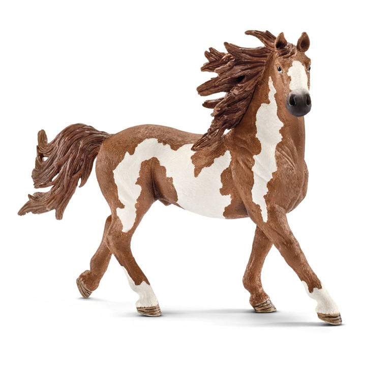 Schleich  Kids  Farm World Pinto Stallion, Sports Direct