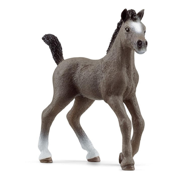 France   Kids  Horse Club Selle Francais, Football by Schleich, Sports Direct