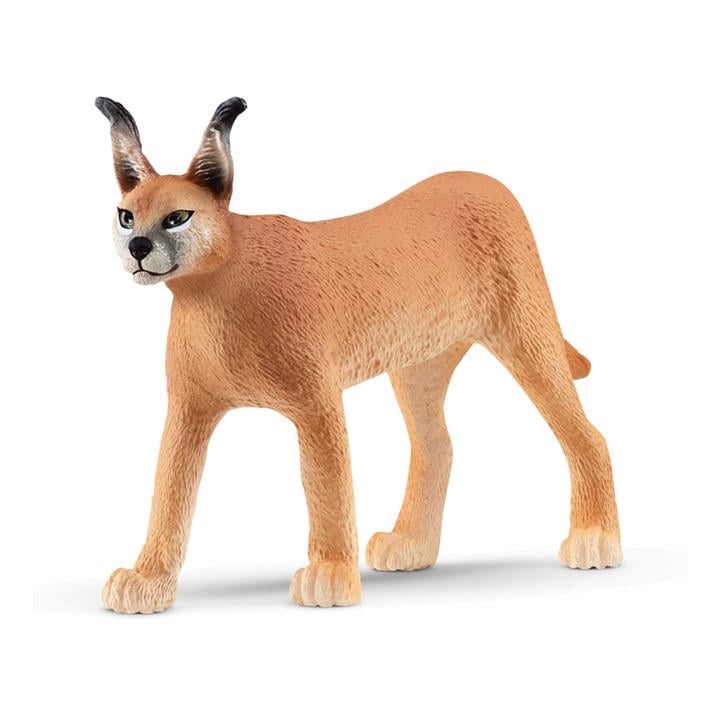 Schleich  Kids  Wild Life Caracal Female, Sports Direct