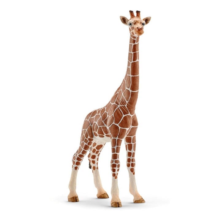 Forest   Kids  Wild Life Female Giraffe, Football by Schleich, Sports Direct