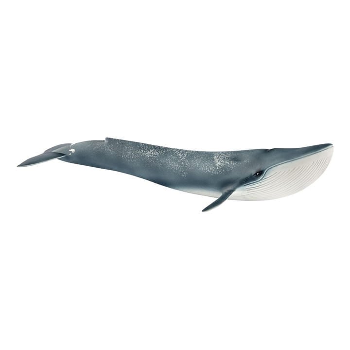 Schleich  Kids  Wild Life Blue Whale Toy, Sports Direct