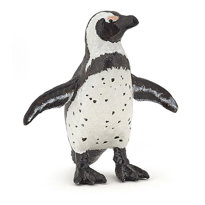 France   Kids  Marine Life African Pengu, Football by PAPO, Sports Direct