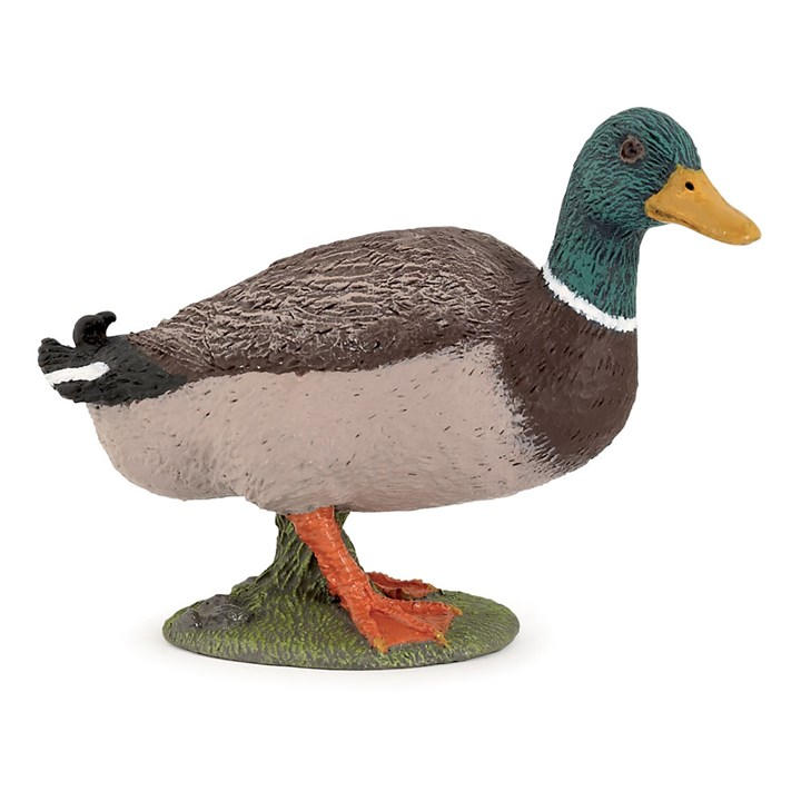 France   Kids  Farmyard Friends Mallard, Football by PAPO, Sports Direct