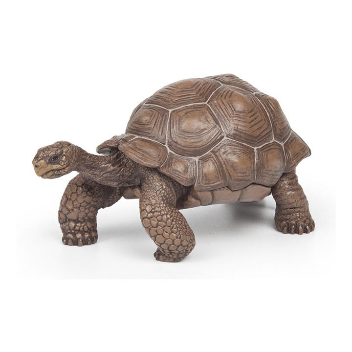 France   Kids  Wild Animal Kingdom Galap, Football by PAPO, Sports Direct